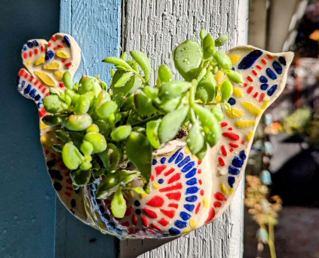 Colorful ceramic bird-shaped wall pot filled with green succulents.